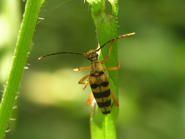 b0099538_6314712.jpg