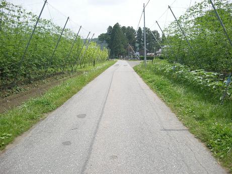 e0149040_1635260.jpg