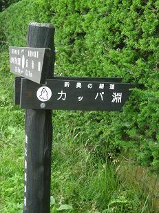 e0149040_16353953.jpg
