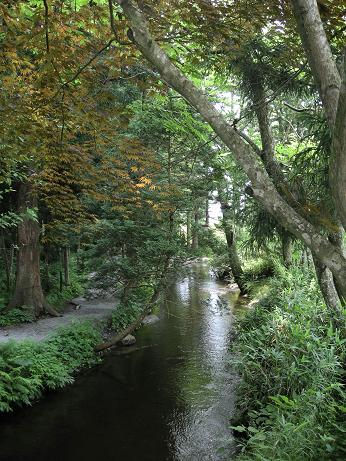 e0149040_16375151.jpg
