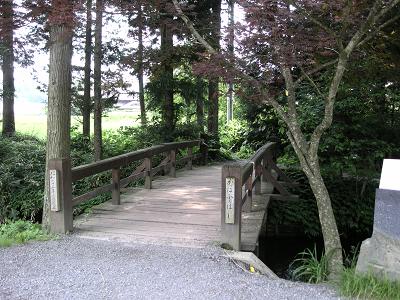 e0149040_1637933.jpg