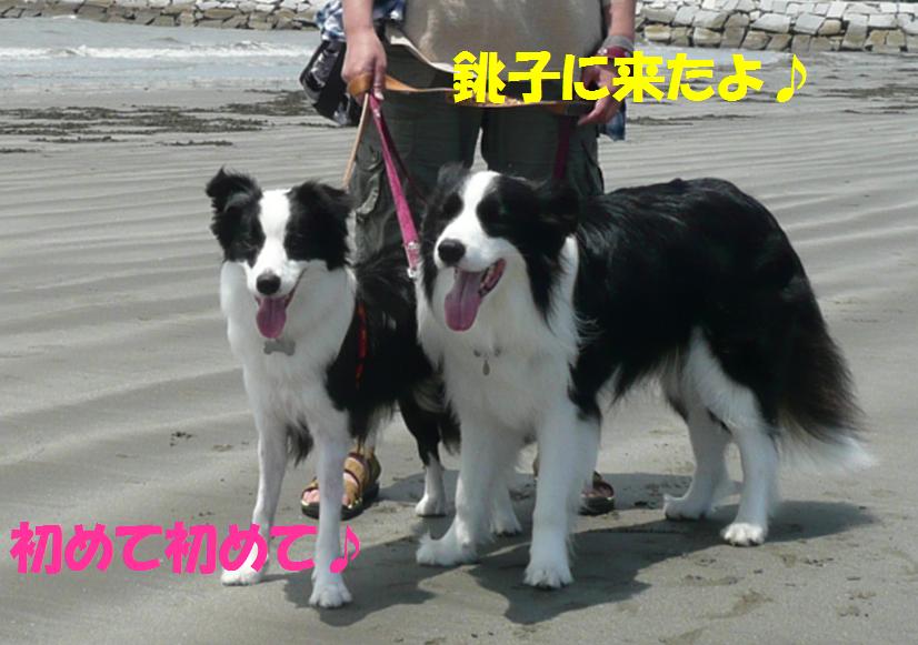 c0147241_20215639.jpg