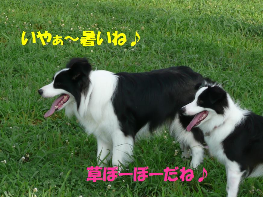 c0147241_20223477.jpg