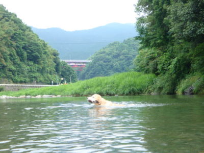 e0158841_15364061.jpg