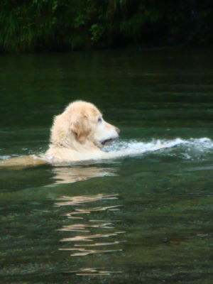 e0158841_1555040.jpg