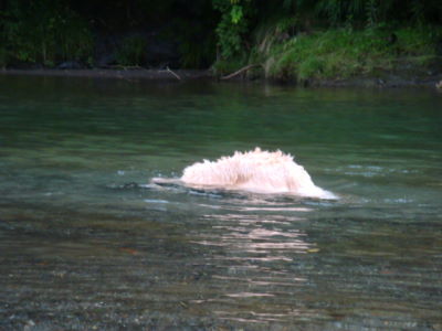 e0158841_16442527.jpg