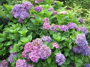 c0141844_20212077.jpg
