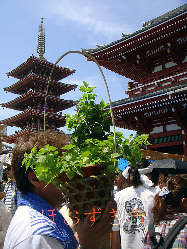 e0185645_173736.jpg