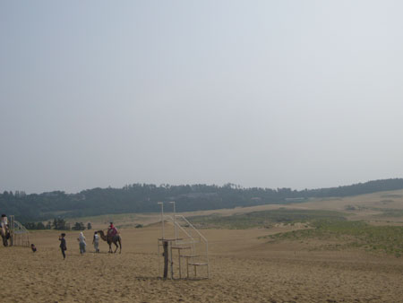 d0163550_18165959.jpg