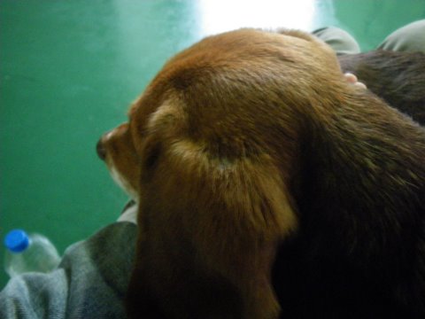 f0046250_103252.jpg