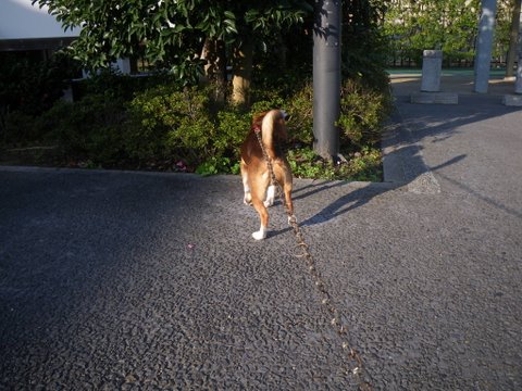 f0046250_14272951.jpg