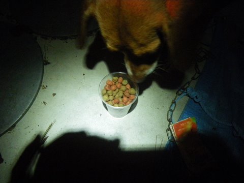 f0046250_143257.jpg