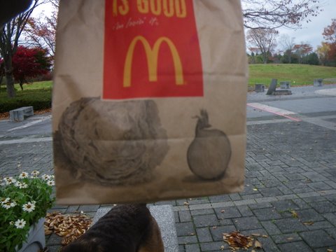 f0046250_16571754.jpg