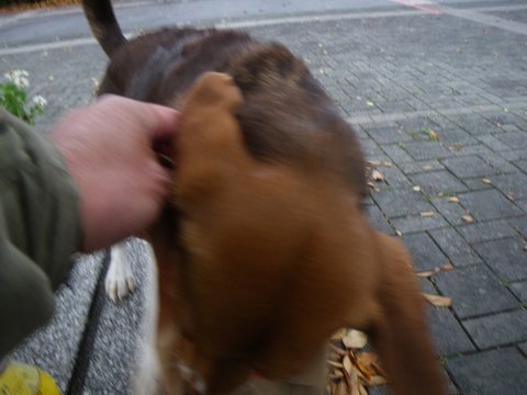 f0046250_16572545.jpg