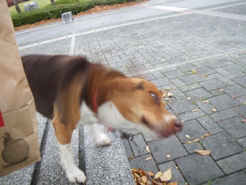 f0046250_16573215.jpg