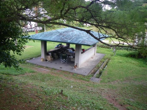 f0046250_3121230.jpg