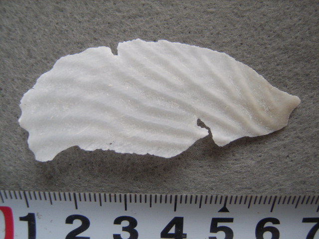 a0157451_16443242.jpg