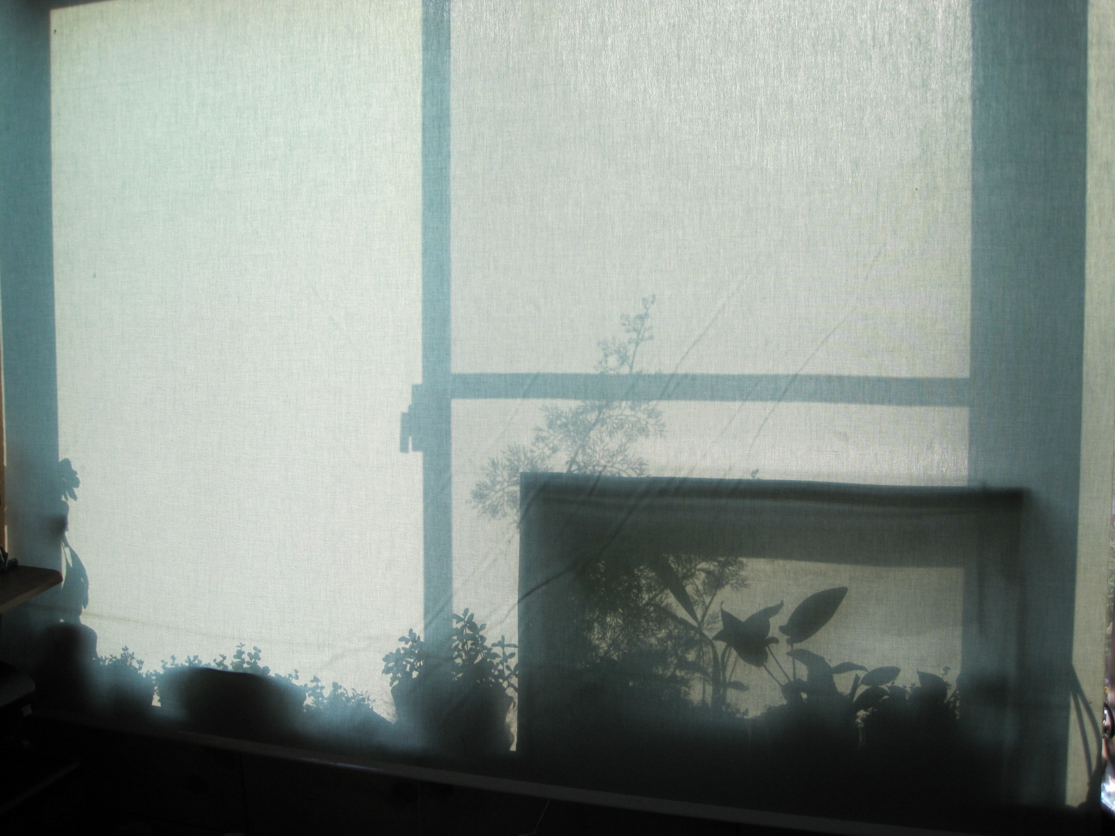 a0148456_2244939.jpg