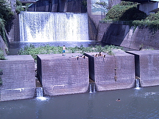 a0157160_2032214.jpg