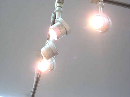 c0084862_8391340.jpg