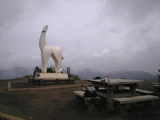 e0136962_181646.jpg