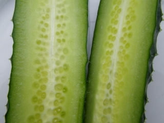 f0055264_22182315.jpg