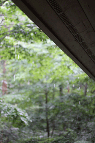 f0107364_2312109.gif
