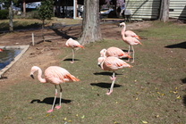 b0178169_3162012.jpg