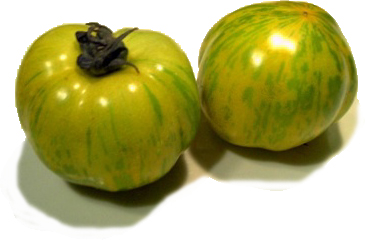 a0083871_22585360.jpg