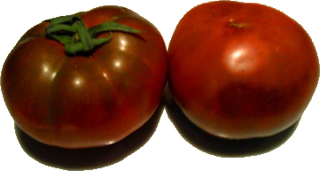 a0083871_2304029.jpg