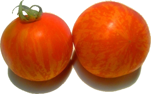 a0083871_2313171.jpg