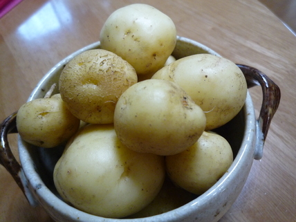 a0061973_1151327.jpg