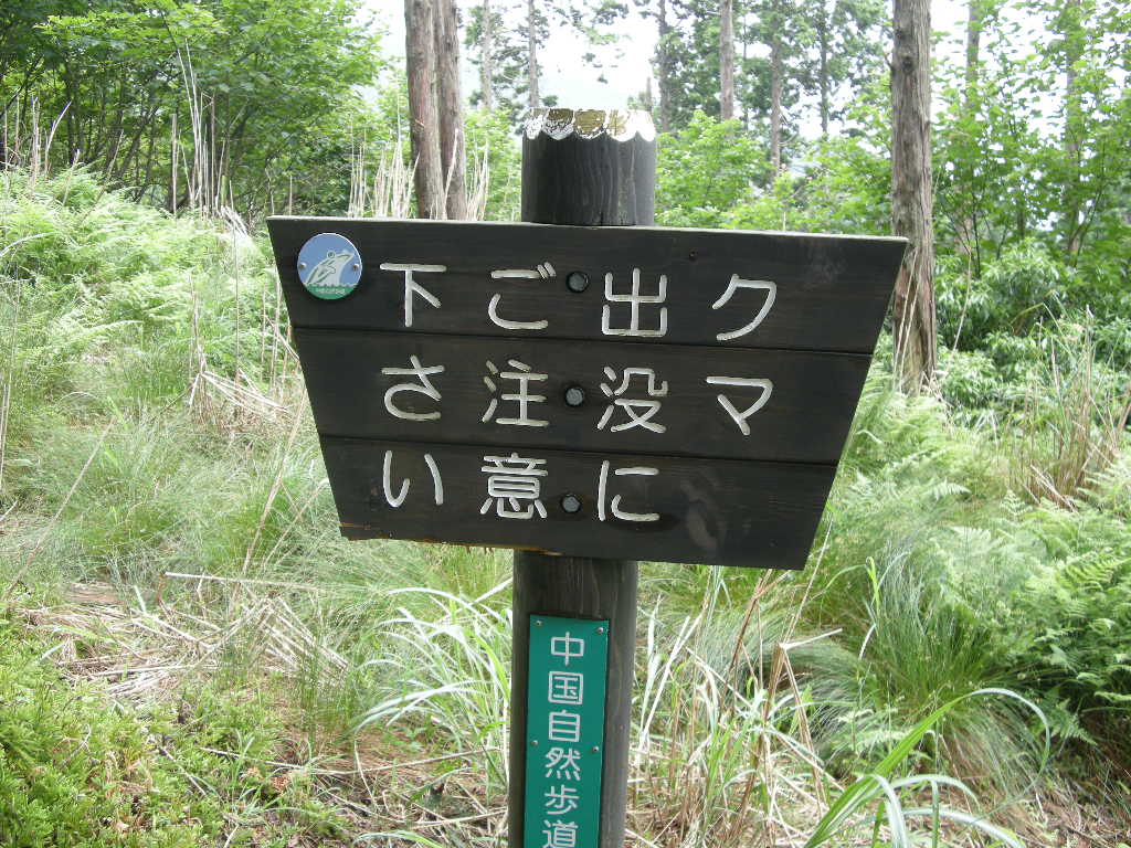 b0185573_10125362.jpg