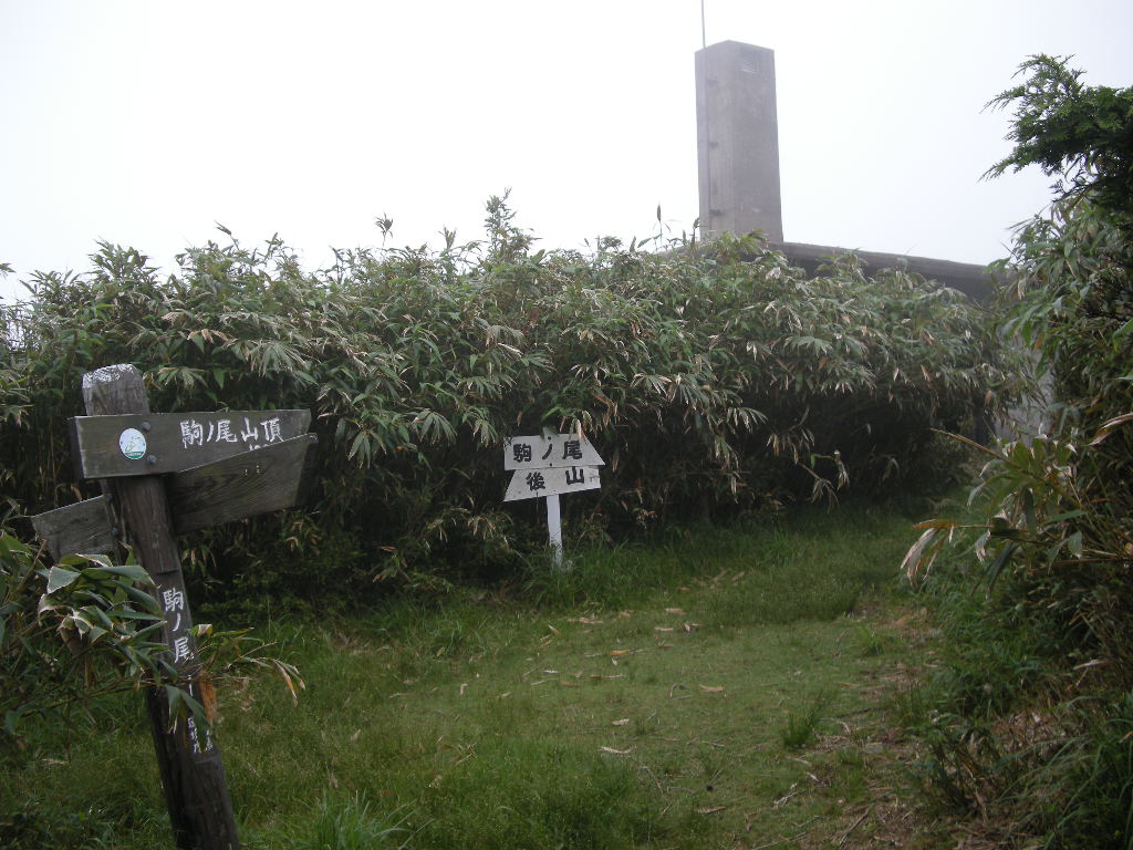 b0185573_10201816.jpg