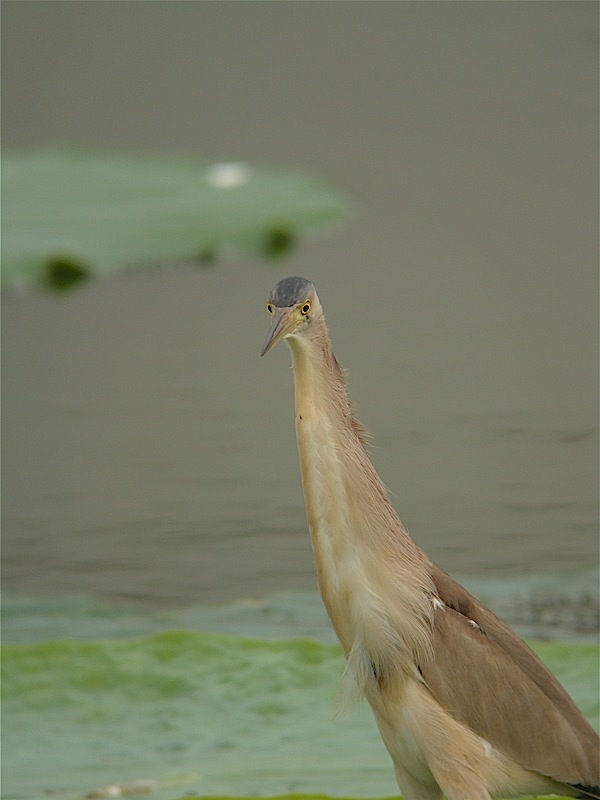 e0015377_2032307.jpg