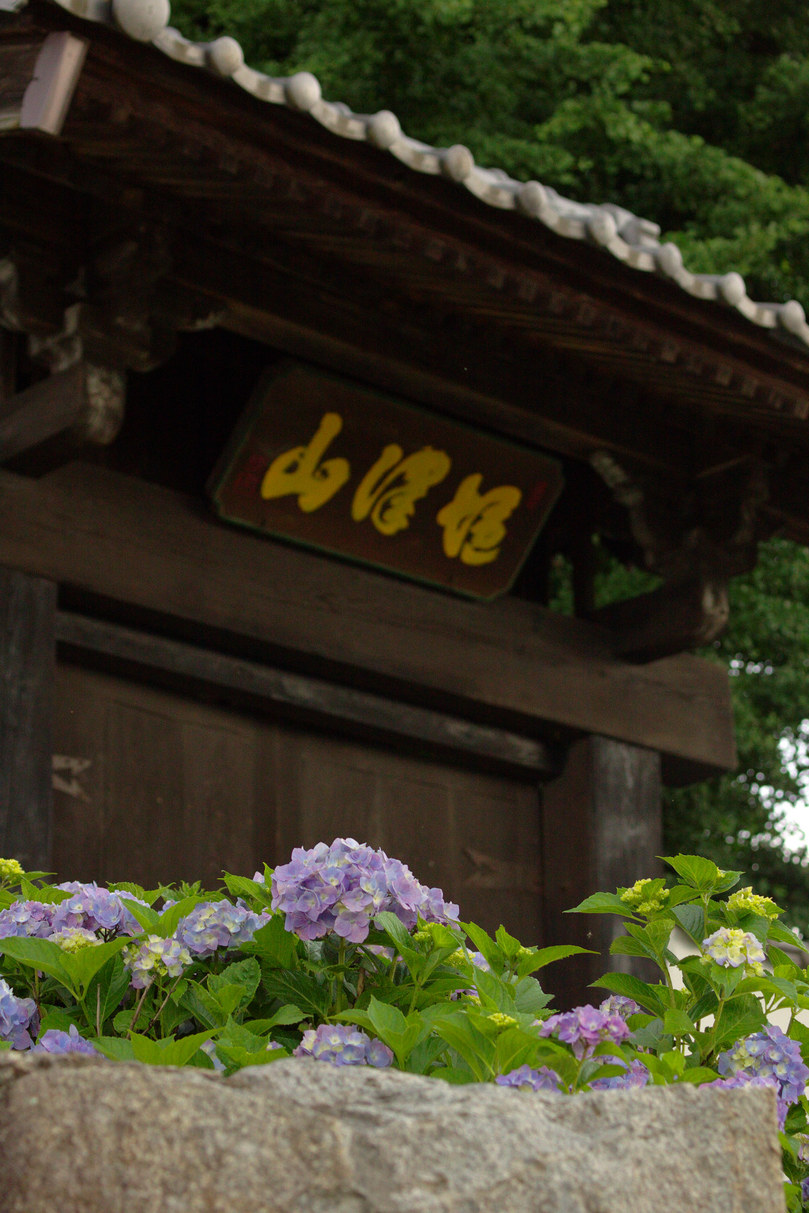 b0083779_18402119.jpg
