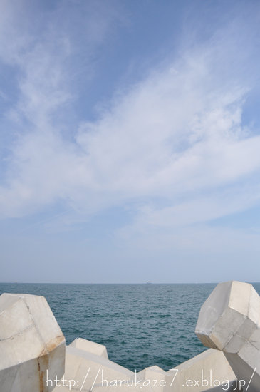 e0148083_15365026.jpg