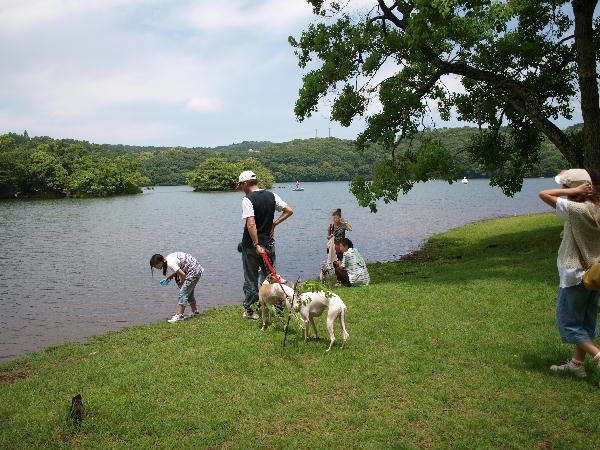 f0160583_1841243.jpg
