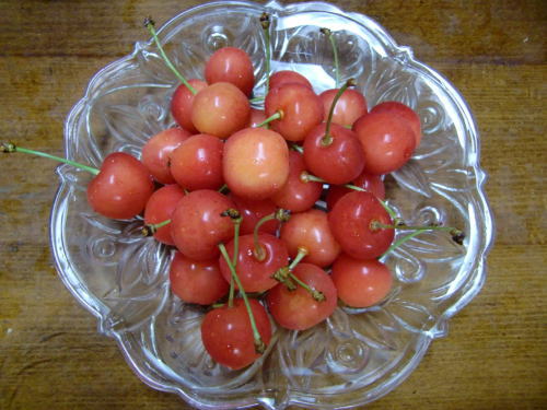 c0167785_2135489.jpg