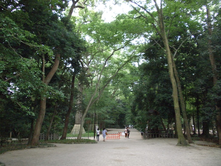 d0045588_1443392.jpg