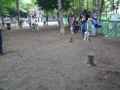 c0123890_2047216.jpg