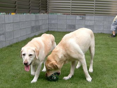 c0028792_23312575.jpg