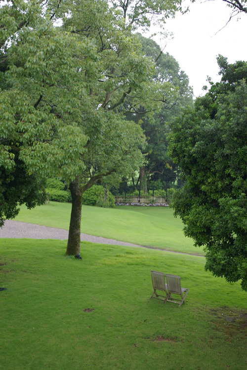 a0157595_207754.jpg