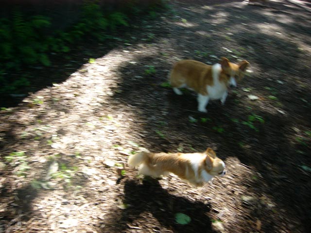 f0077097_18464090.jpg