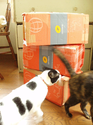 c0129702_15521596.gif