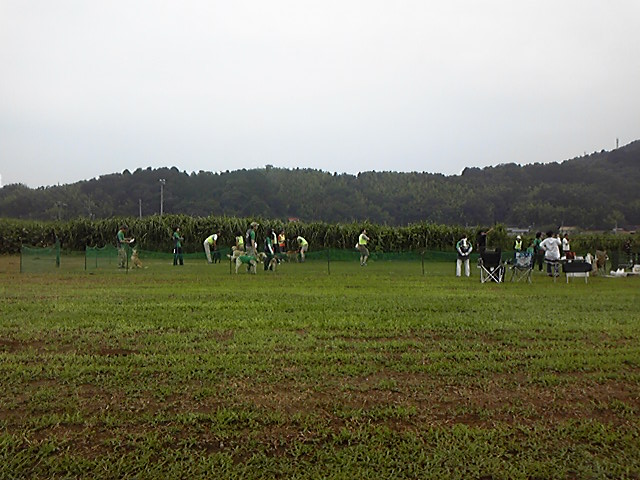 e0015108_8203431.jpg