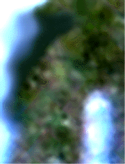 e0103408_1228972.gif