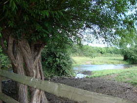 e0046112_546296.jpg
