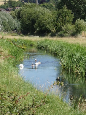 e0046112_632497.jpg