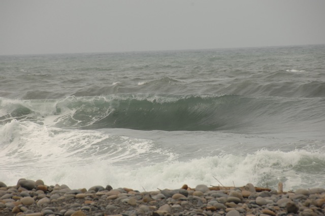 f0116314_19204784.jpg
